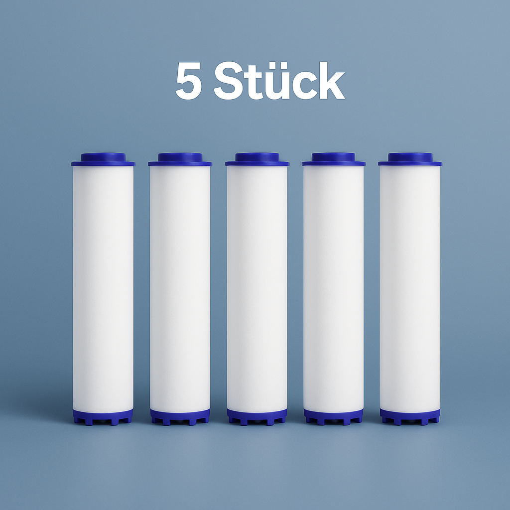 Hochdruck-Duschkopf mit Massagefunktion und Filter